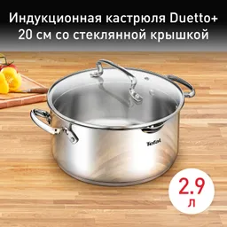 Кастрюля с крышкой Tefal Duetto+ 2.9 л 20 см G7194456 