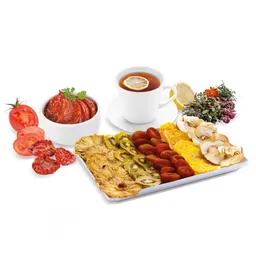 Сушилка Tefal Fruit Air DF100830