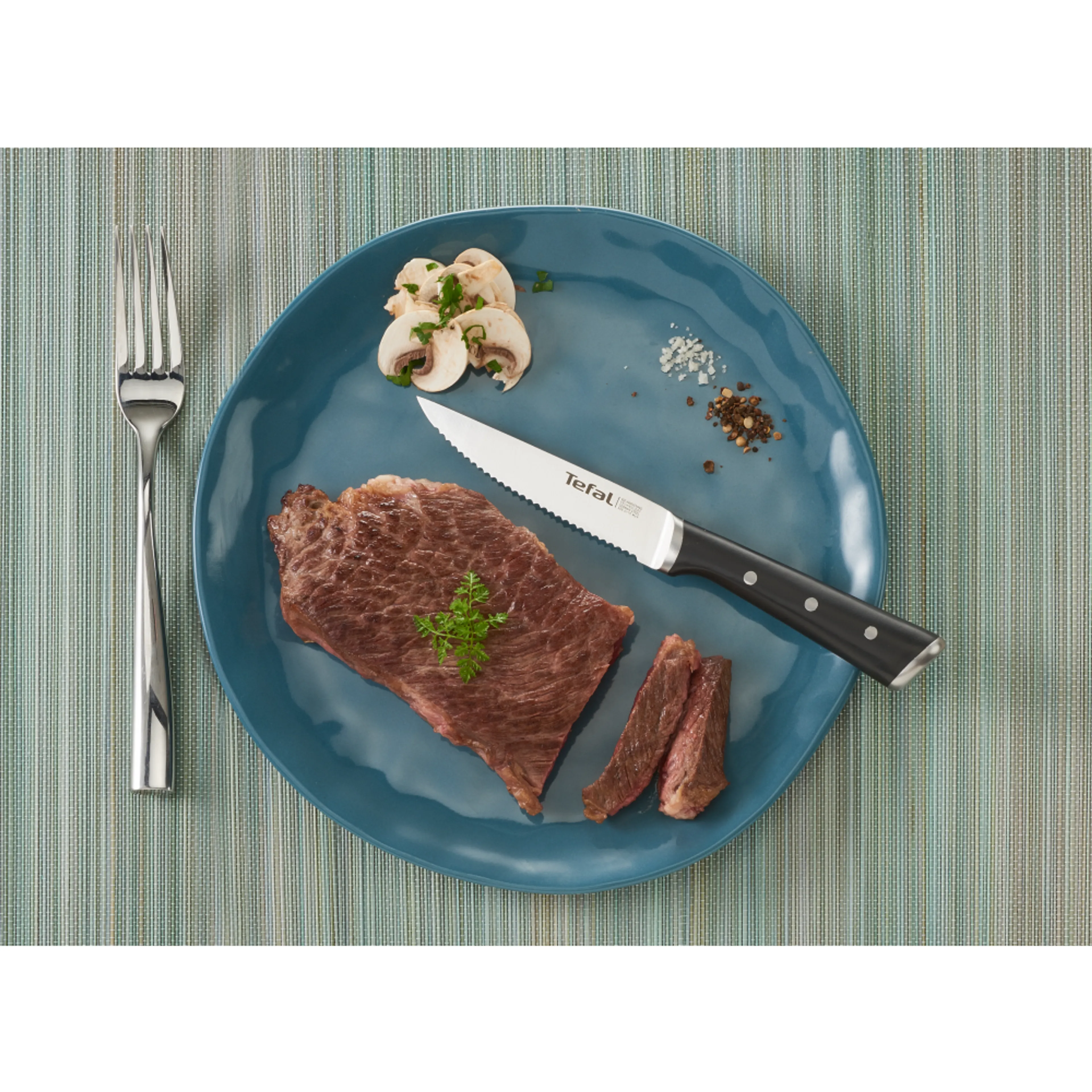 Набор из 4 ножей для стейка Tefal Ice Force K232S414
