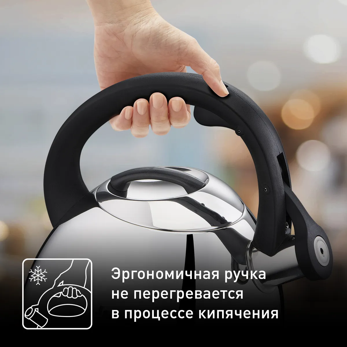Чайник для плиты Tefal Kettle ss induction  2,7 л K2481574
