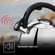 Чайник для плиты Tefal Kettle ss induction  2,7 л K2481574