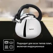 Чайник для плиты Tefal Kettle ss induction  2,7 л K2481574