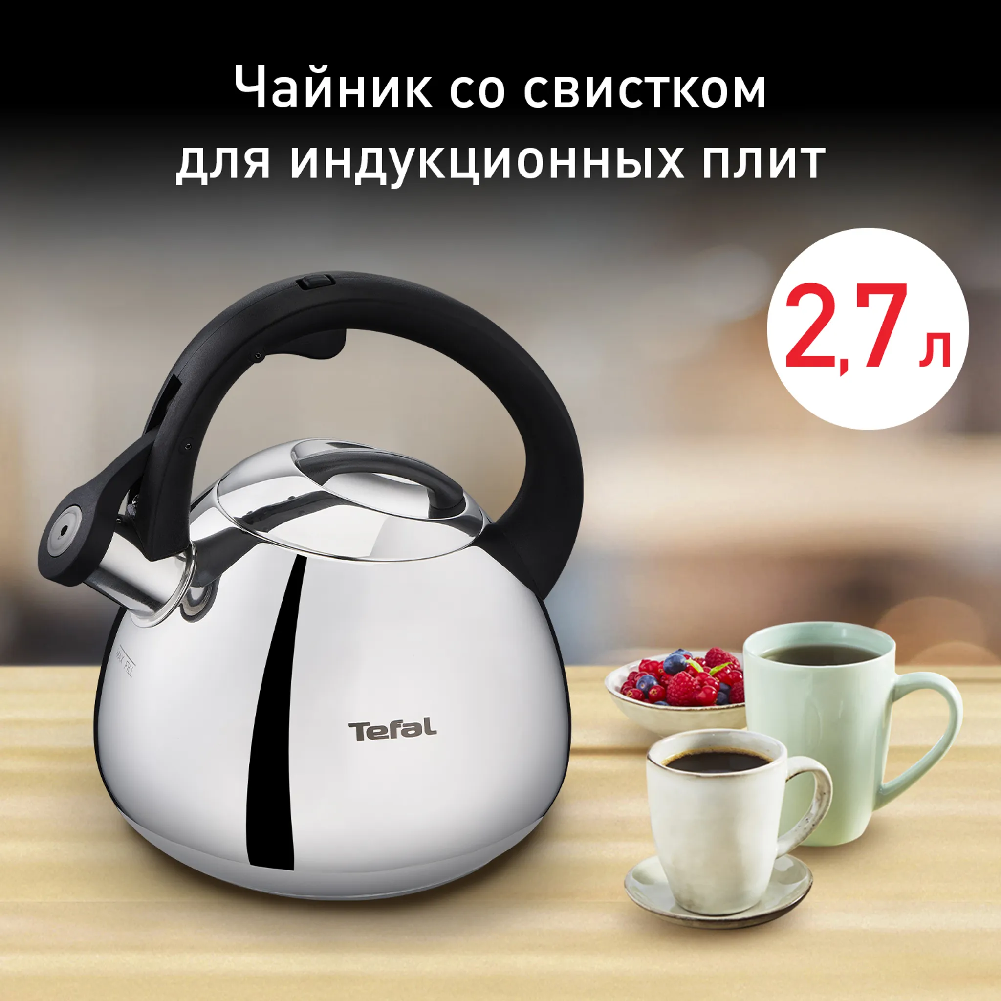 Чайник для плиты Tefal Kettle ss induction 2,7 л K2481574