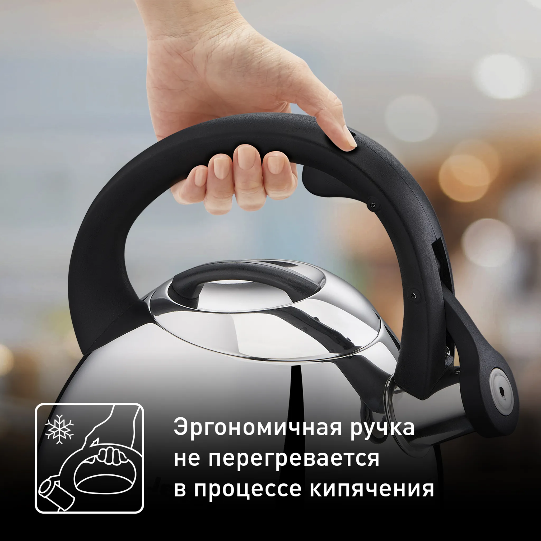 Чайник для плиты Tefal Kettle ss induction 2,7 л K2481574