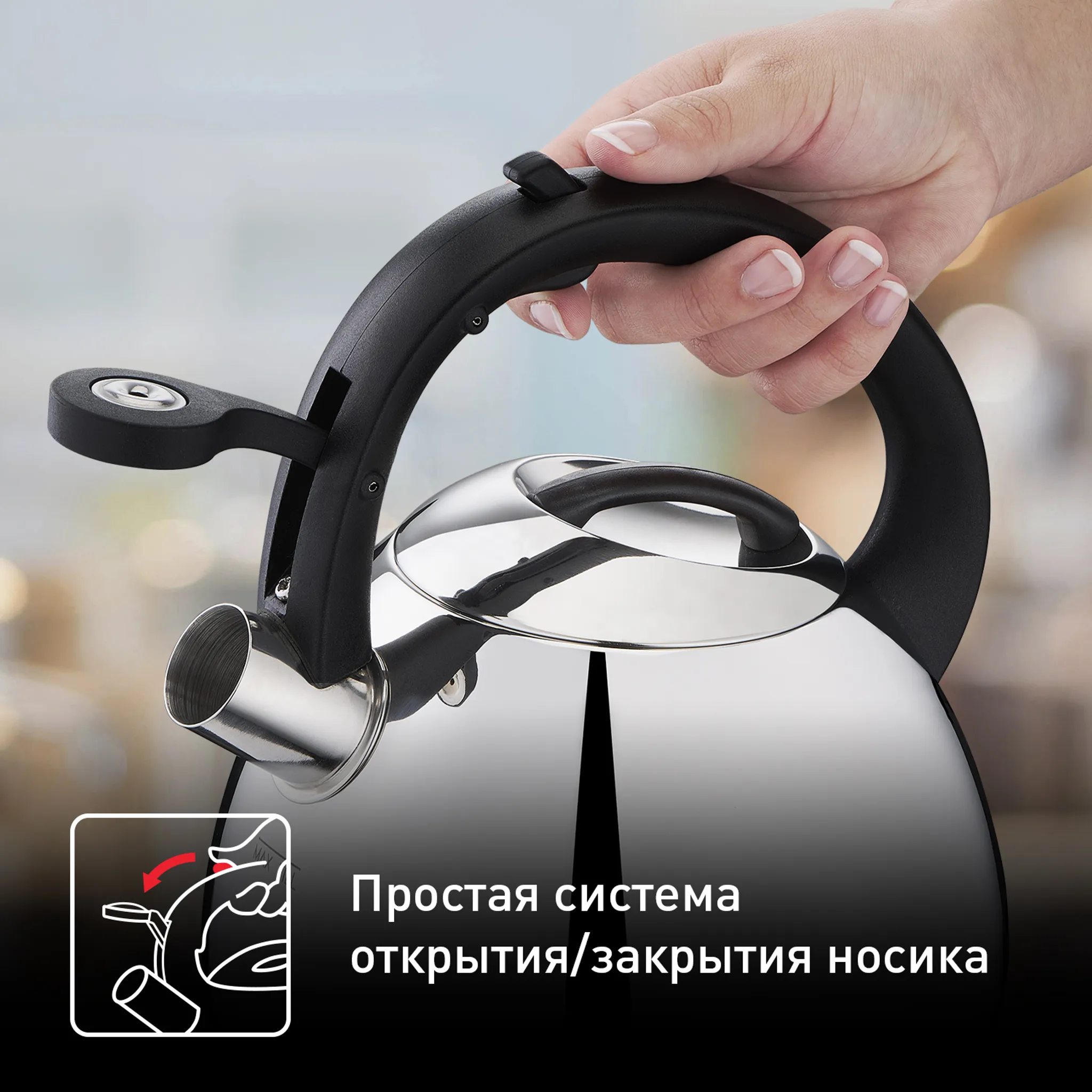 Чайник для плиты Tefal Kettle ss induction 2,7 л K2481574