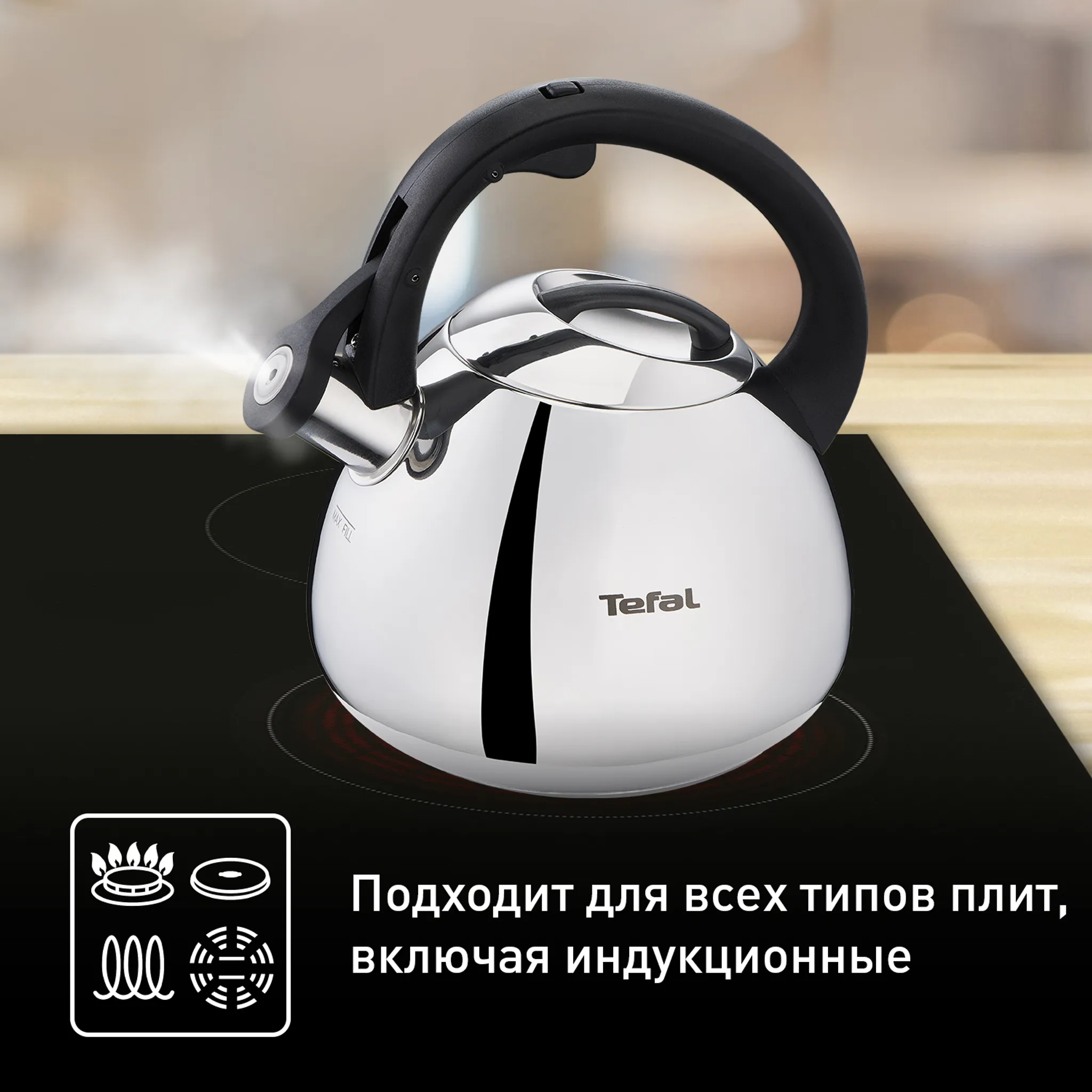 Чайник для плиты Tefal Kettle ss induction 2,7 л K2481574