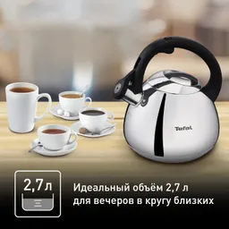 Чайник для плиты Tefal Kettle ss induction  2,7 л K2481574