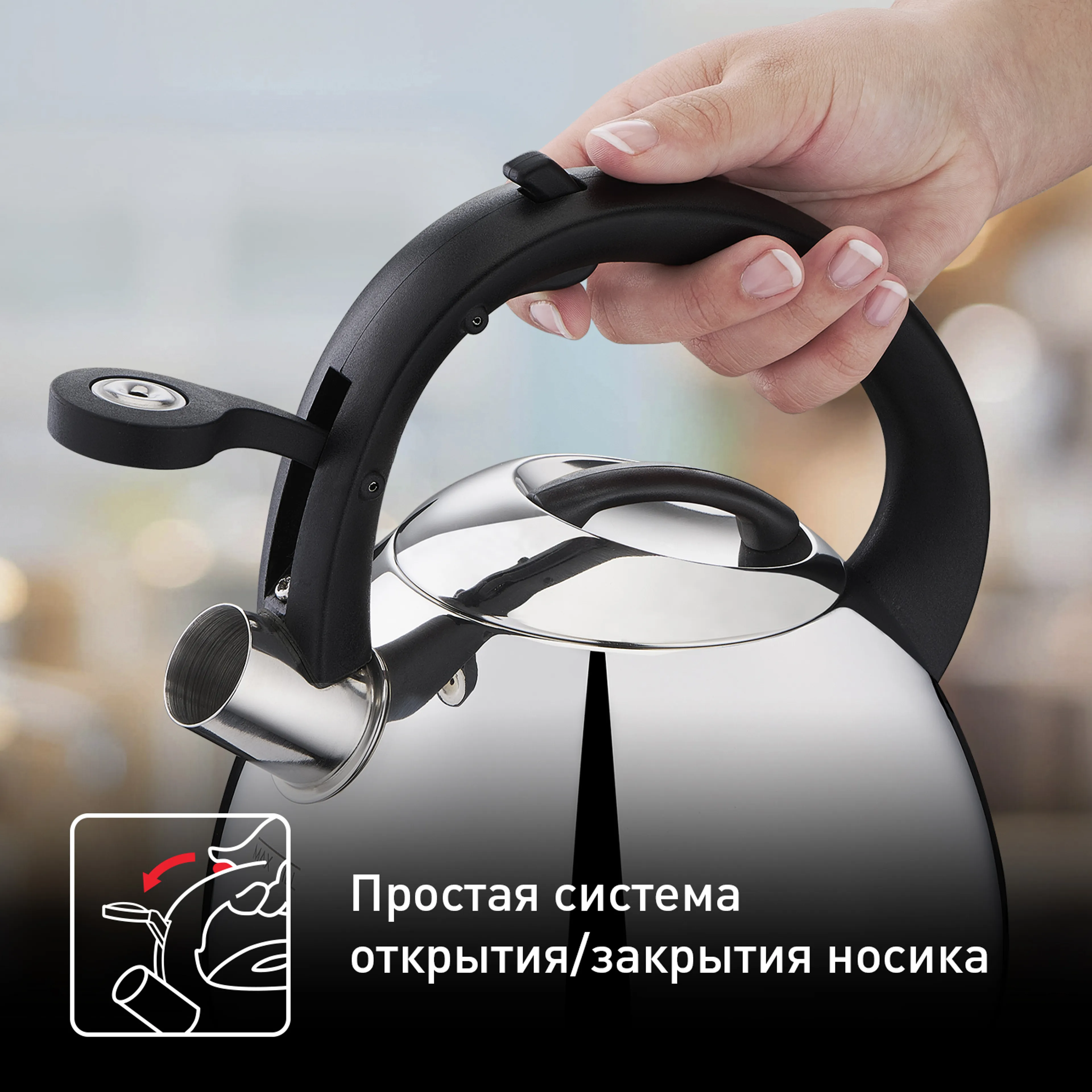 Чайник для плиты Tefal Kettle ss induction  2,7 л K2481574