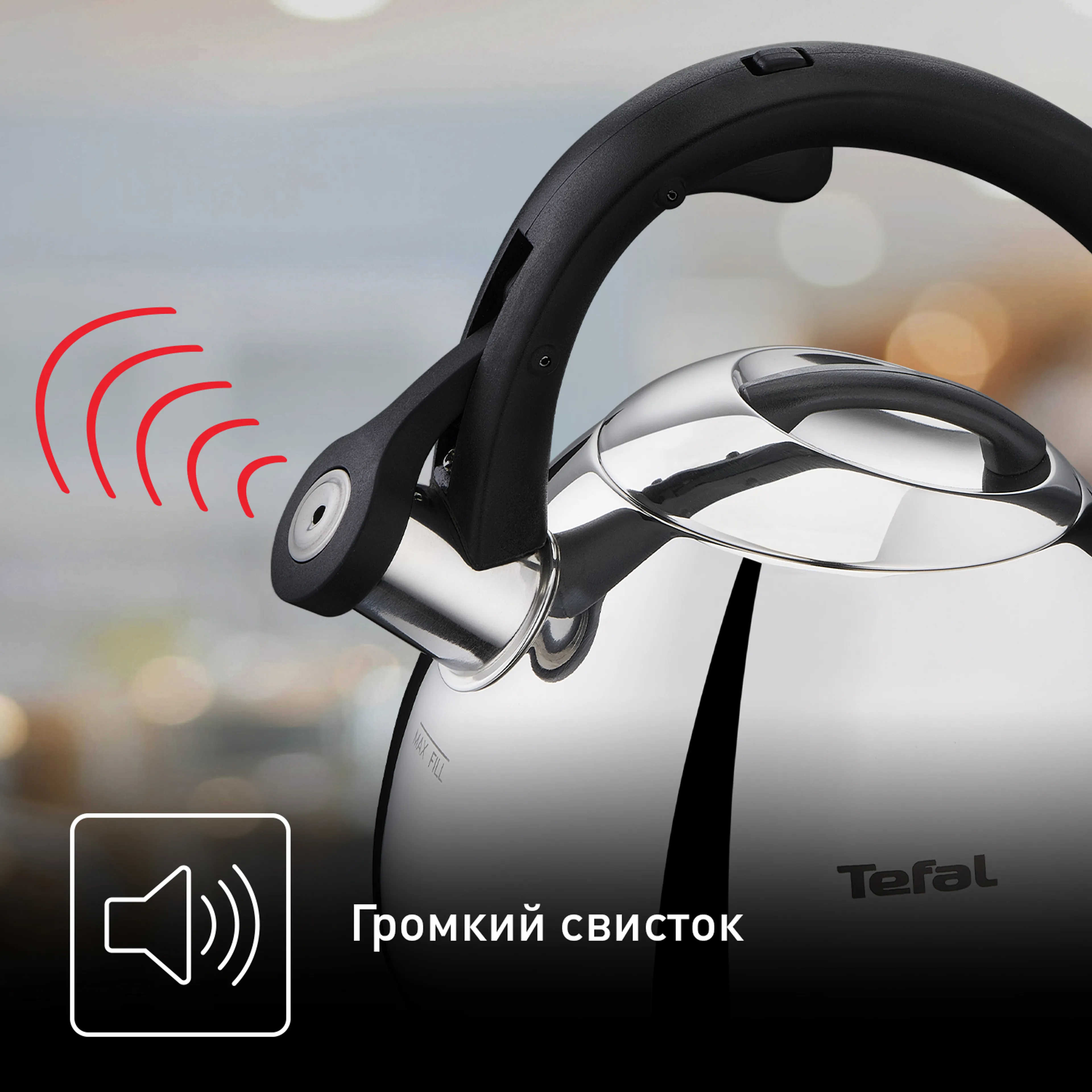 Чайник для плиты Tefal Kettle ss induction  2,7 л K2481574