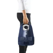 Мешковый пылесос Tefal TW2421RA