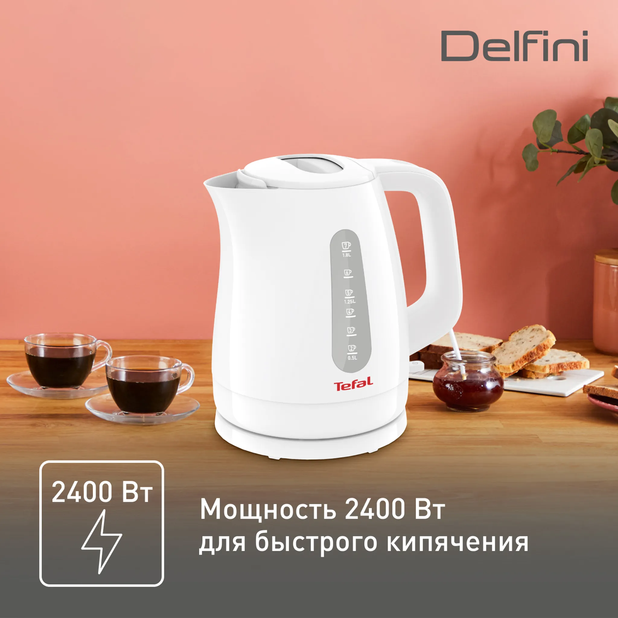 Электрический чайник Tefal Delfini Up KO172130