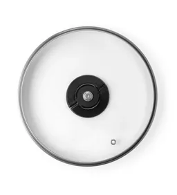 Стеклянная крышка Tefal Butterfly 20 см 04199720