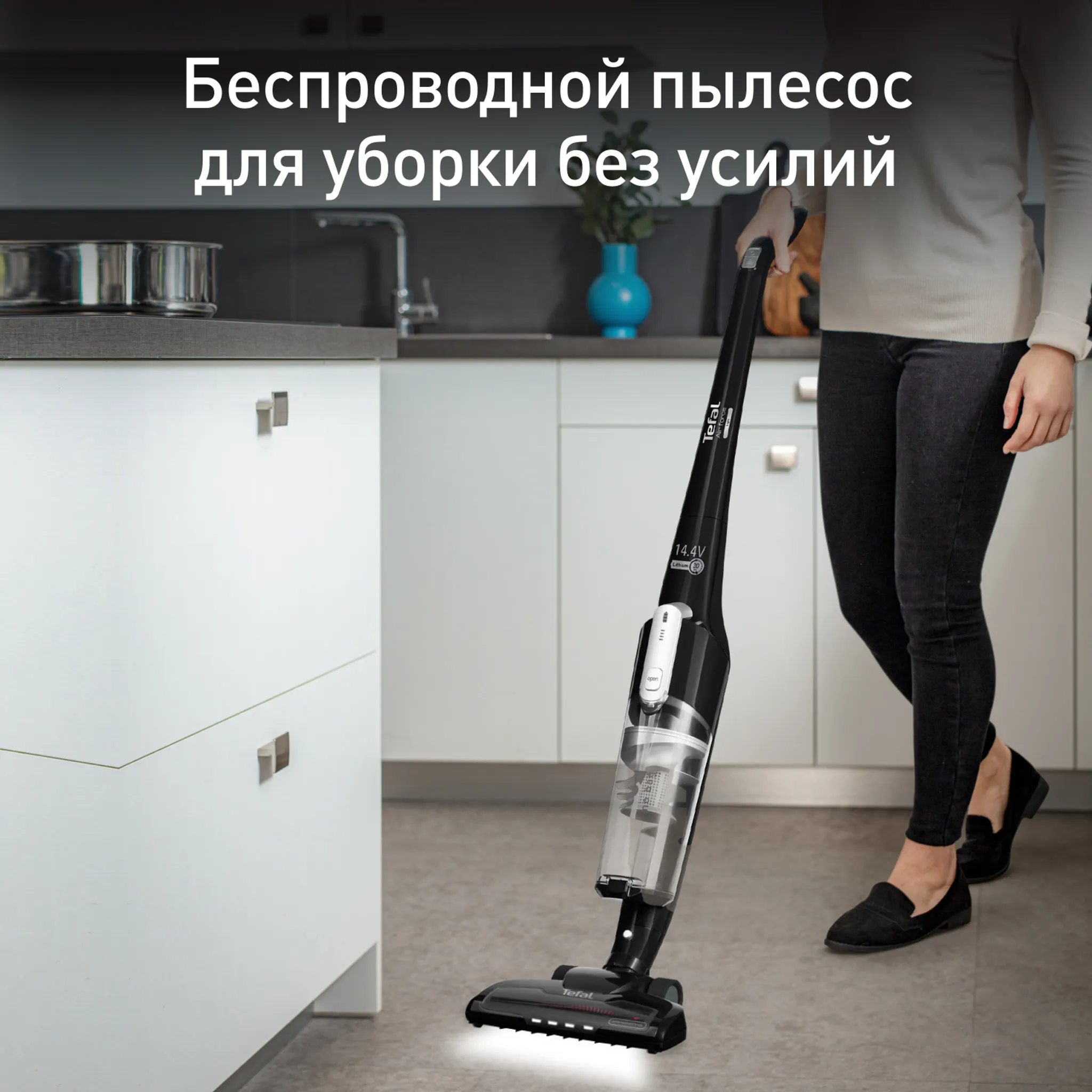 цена на Беспроводной пылесос Tefal Air Force Light TY6545RH