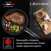 Набор сковород Tefal Ultimate 2 предмета 22/28 см G2689072