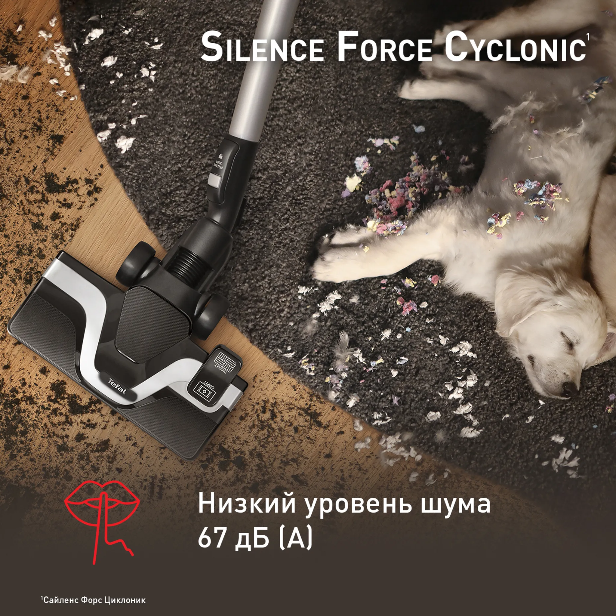 Пылесос с контейнером Tefal Silence Force Cyclonic TW7260EA