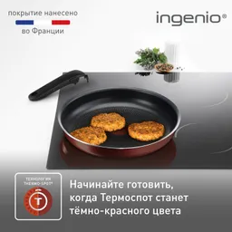 Набор посуды Tefal Ingenio Red 11 предметов 04186850