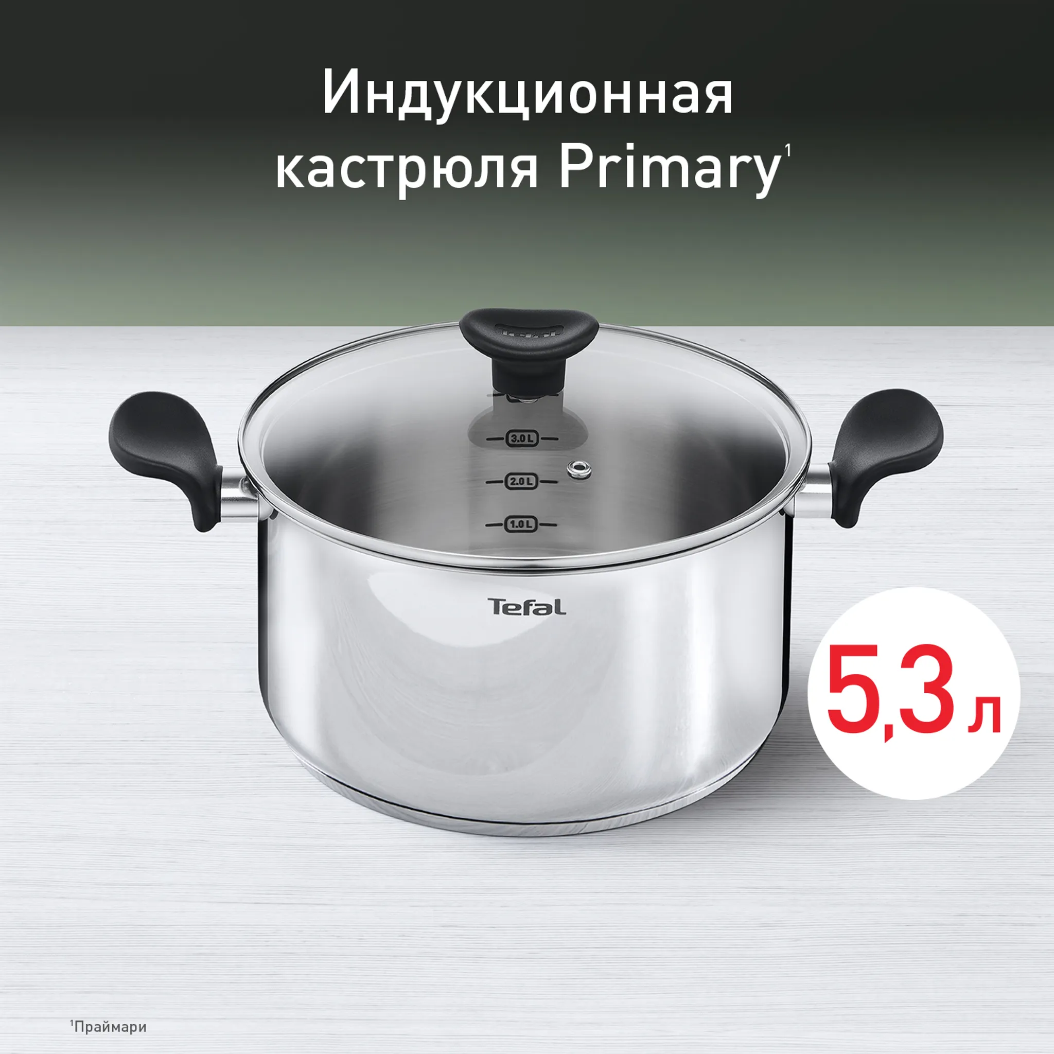 Кастрюля с крышкой Tefal Primary 24 см 5,2 л E3084674