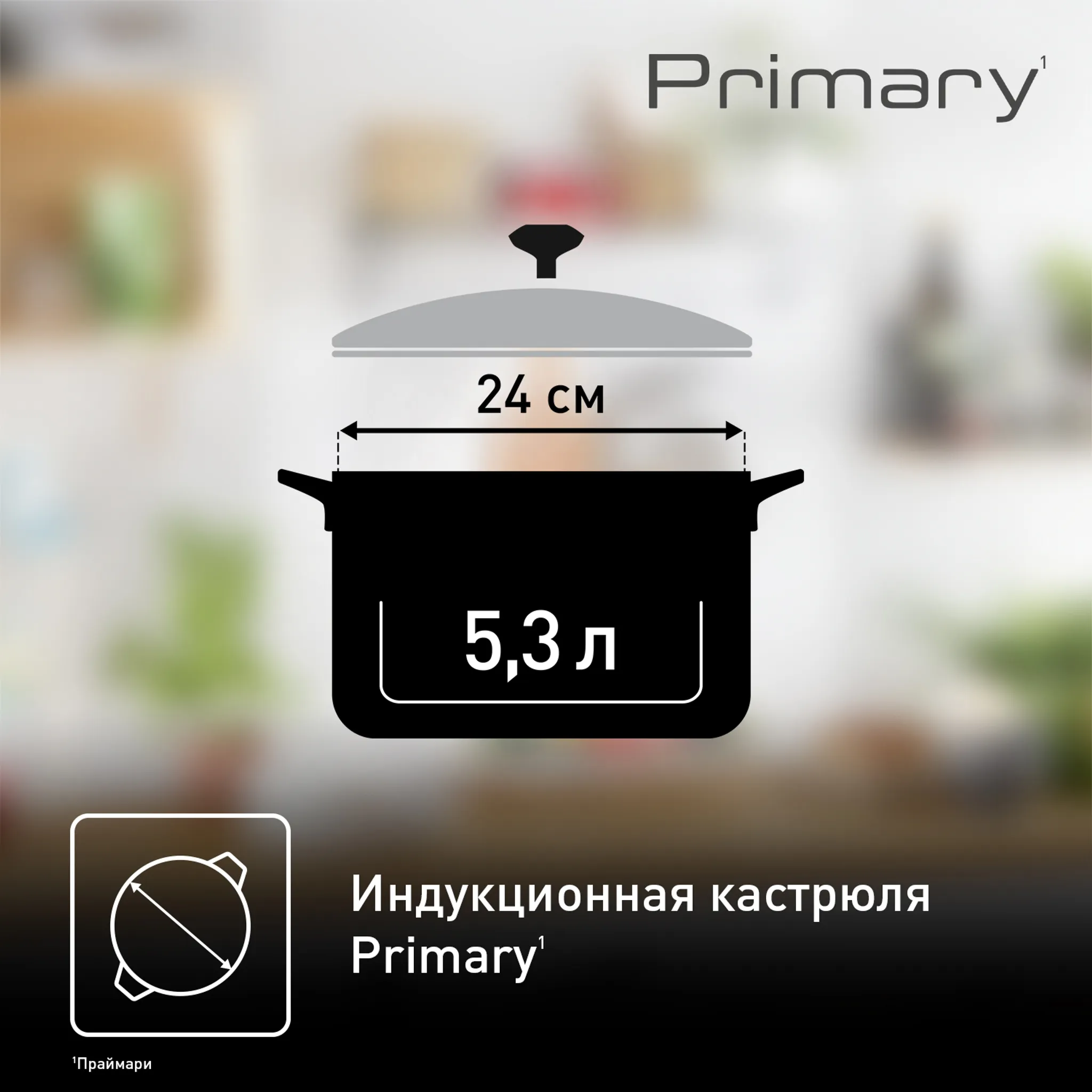 Кастрюля с крышкой Tefal Primary 24 см 5,2 л E3084674