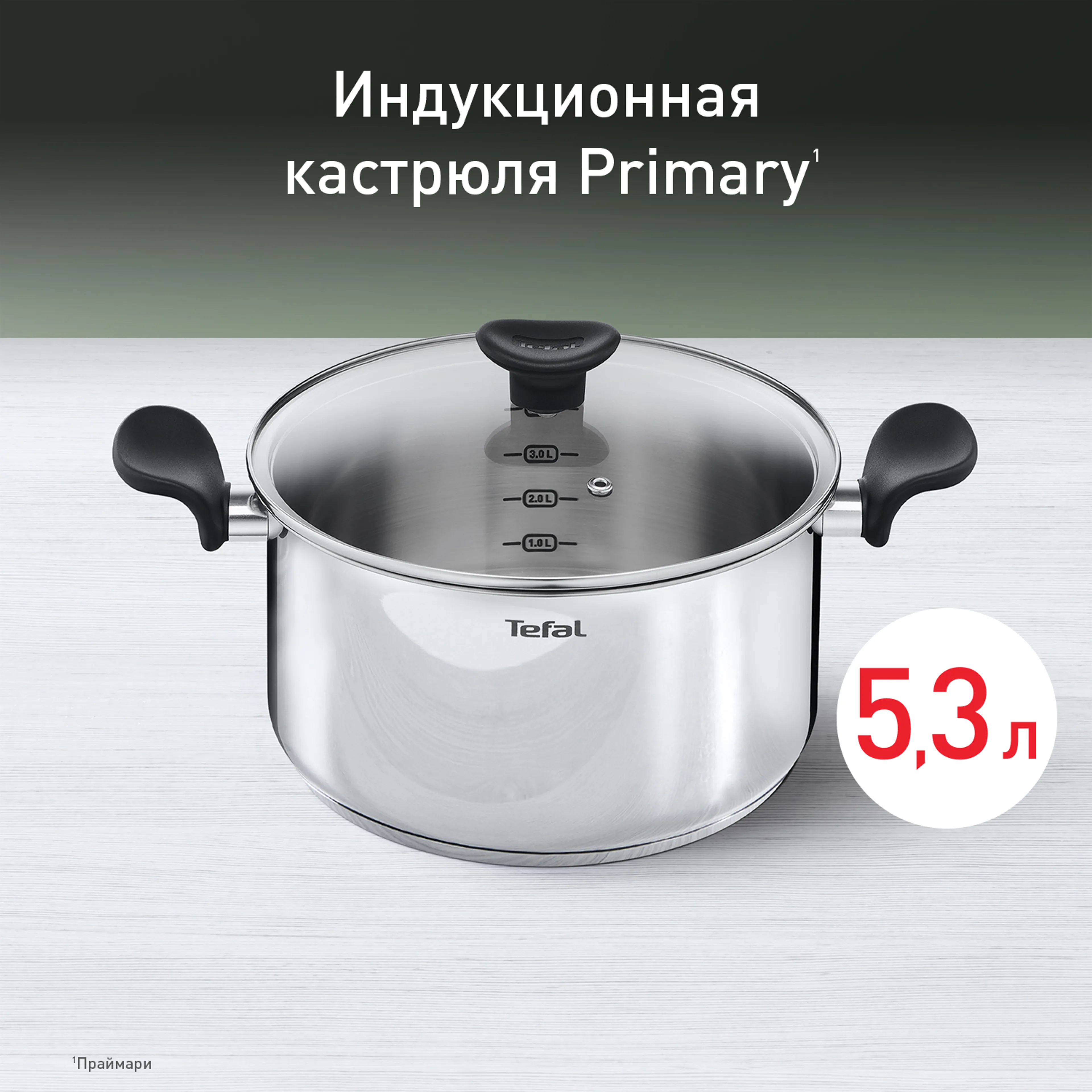 цена на Кастрюля с крышкой Tefal Primary 24 см 5,2 л E3084674