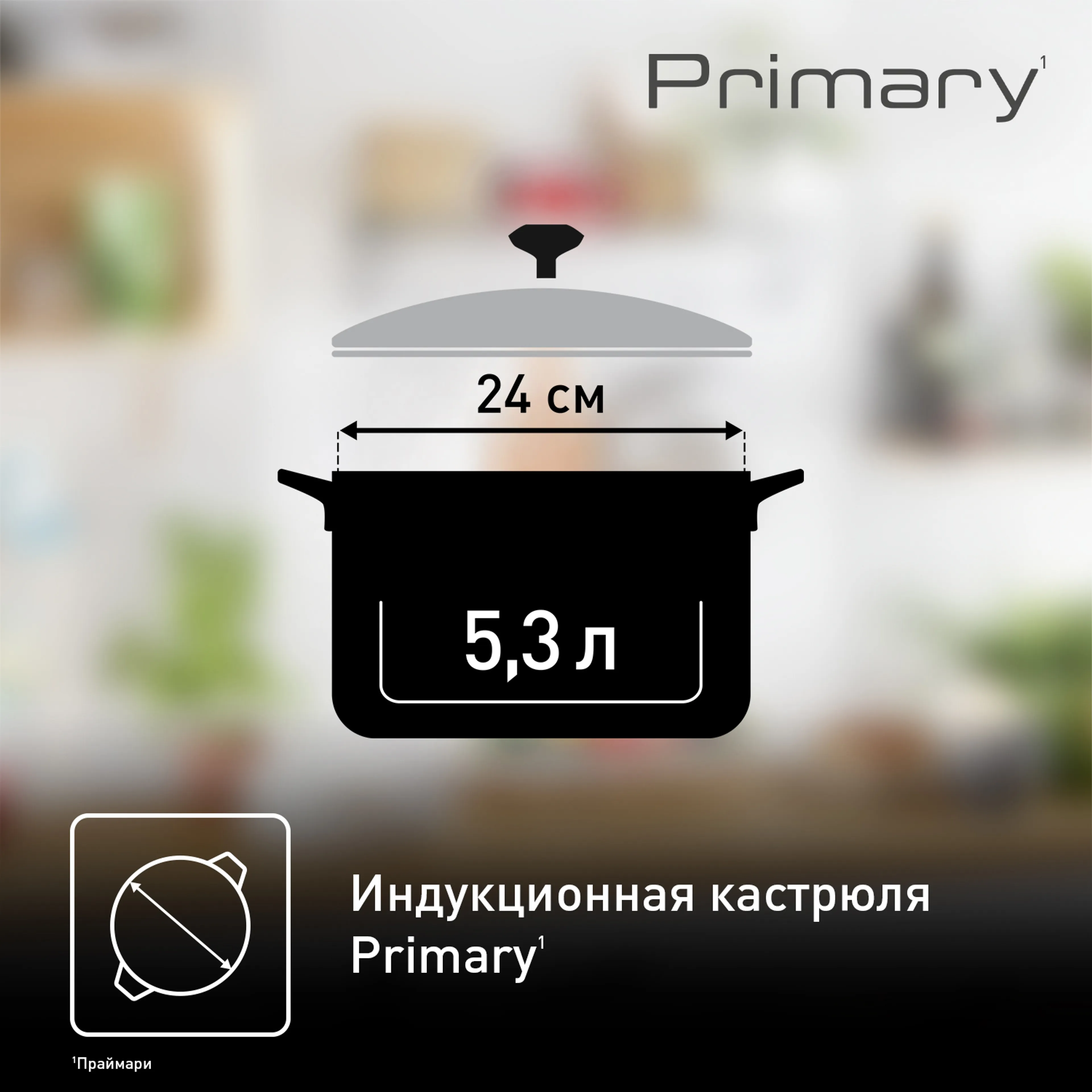 Кастрюля с крышкой Tefal Primary 24 см 5,2 л E3084674