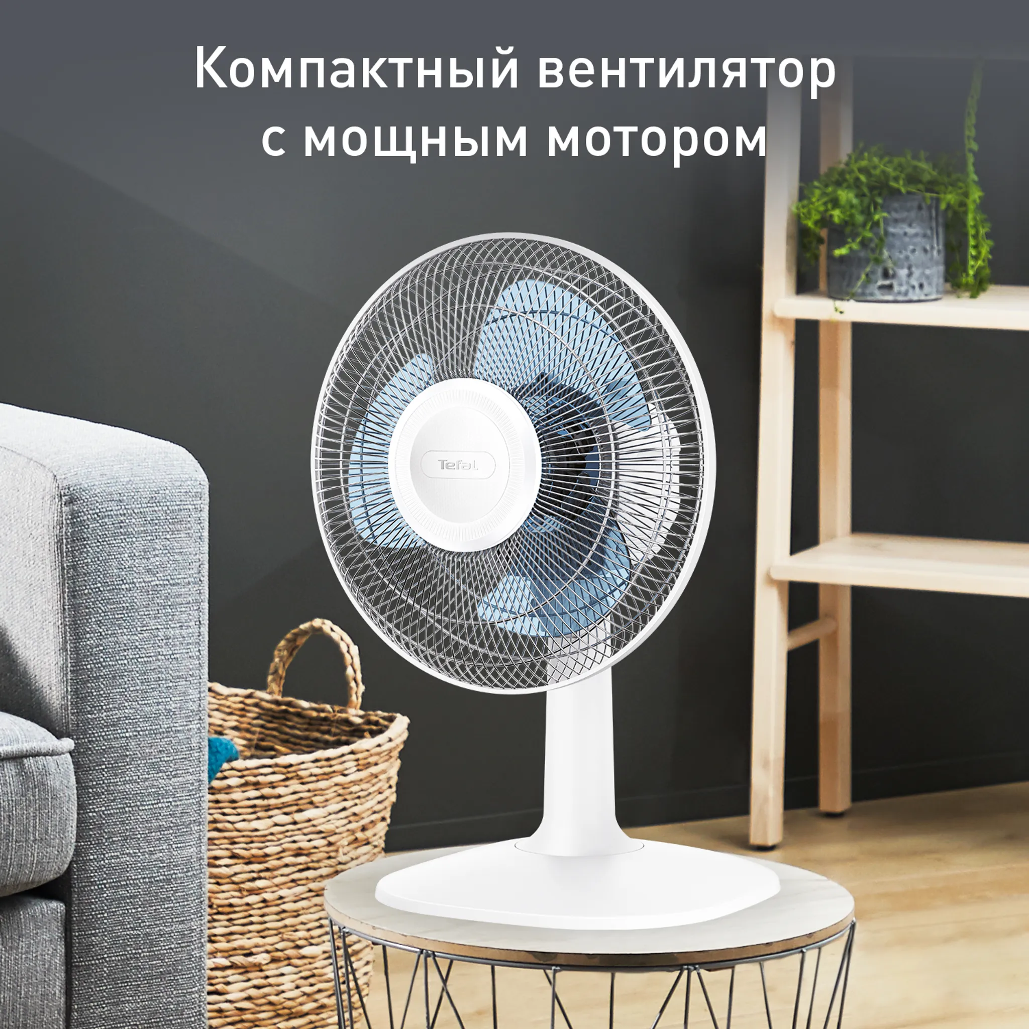 цена на Настольный вентилятор Tefal Essential+  VF2310F0