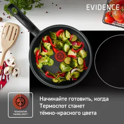 Сковорода с крышкой Tefal Evidence 24 см 04174924