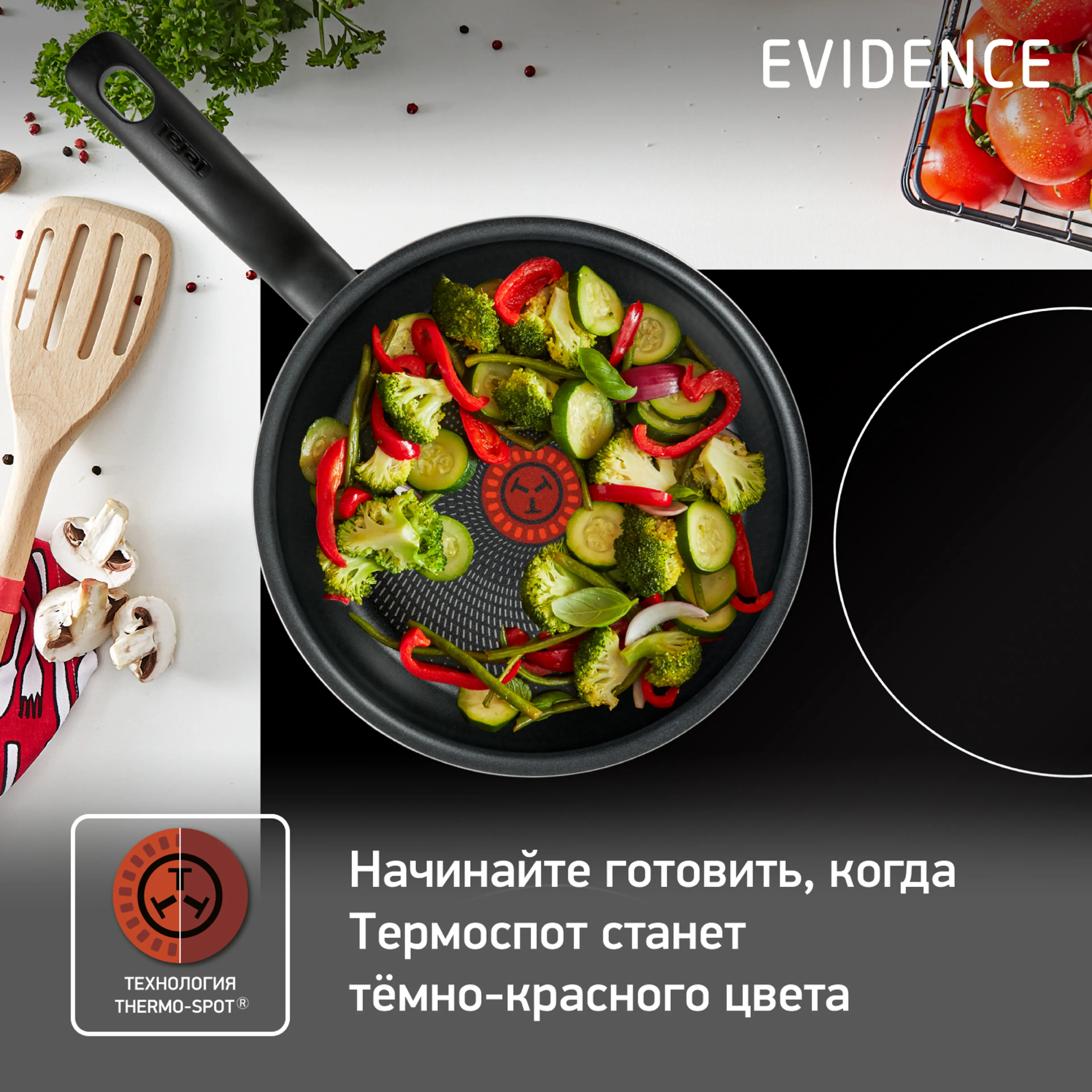 Сковорода с крышкой Tefal Evidence 24 см 04174924 купить в официальном магазине
