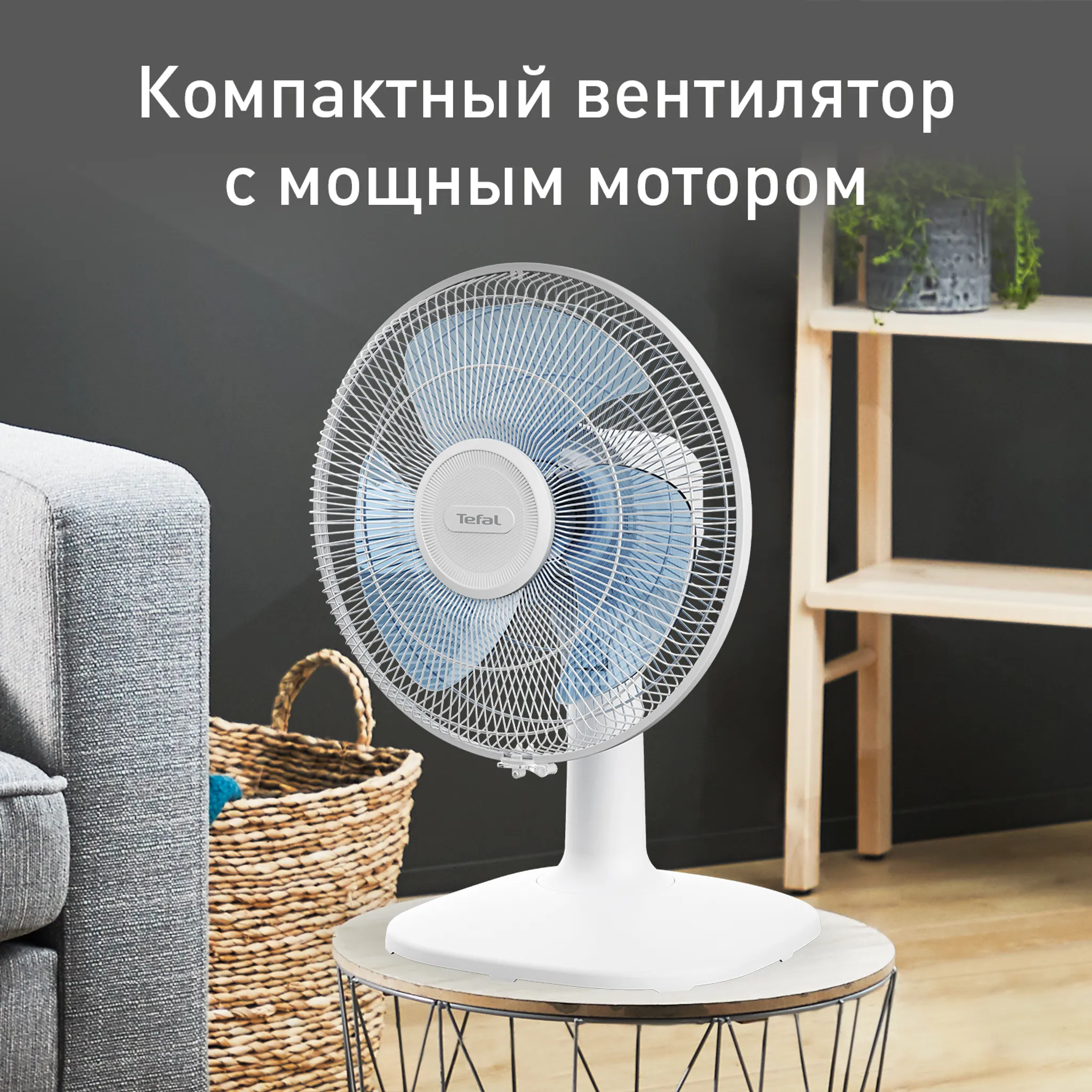 цена на Настольный вентилятор Essential+ Tefal VF2330F2