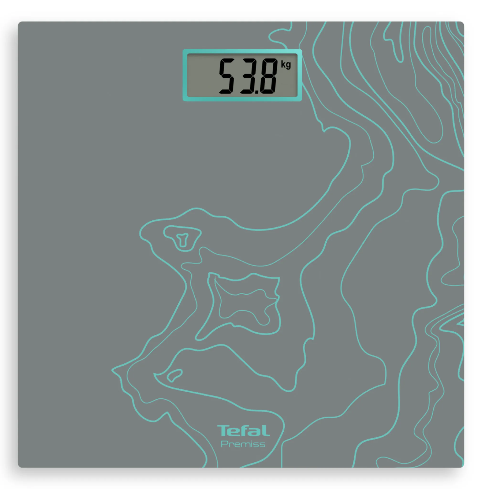 Напольные весы Tefal Premiss Maps Silver PP1435V0 фото