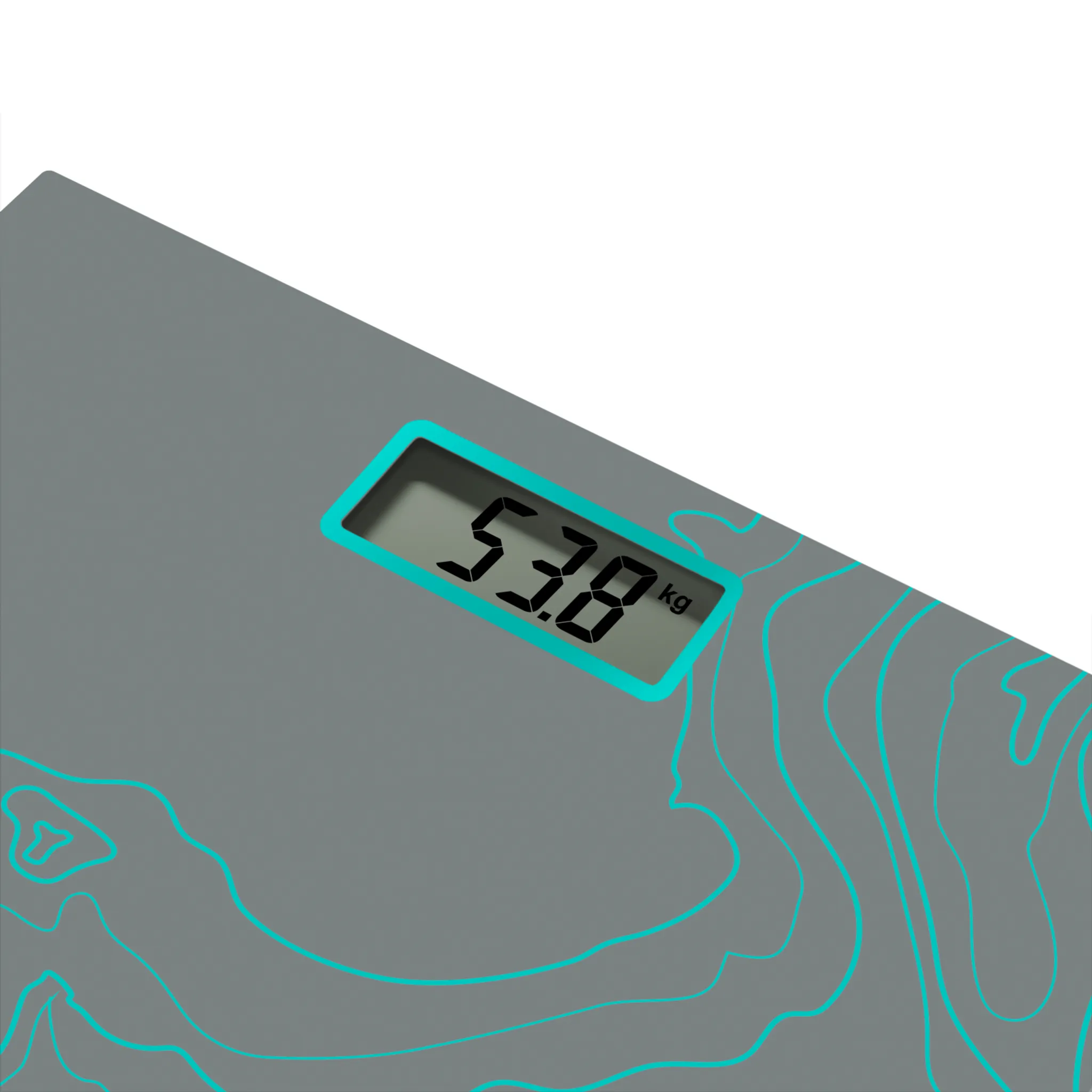 Напольные весы Tefal Premiss Maps Silver PP1435V0