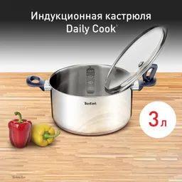 Кастрюля 20 см Tefal Daily Cook G7124445
