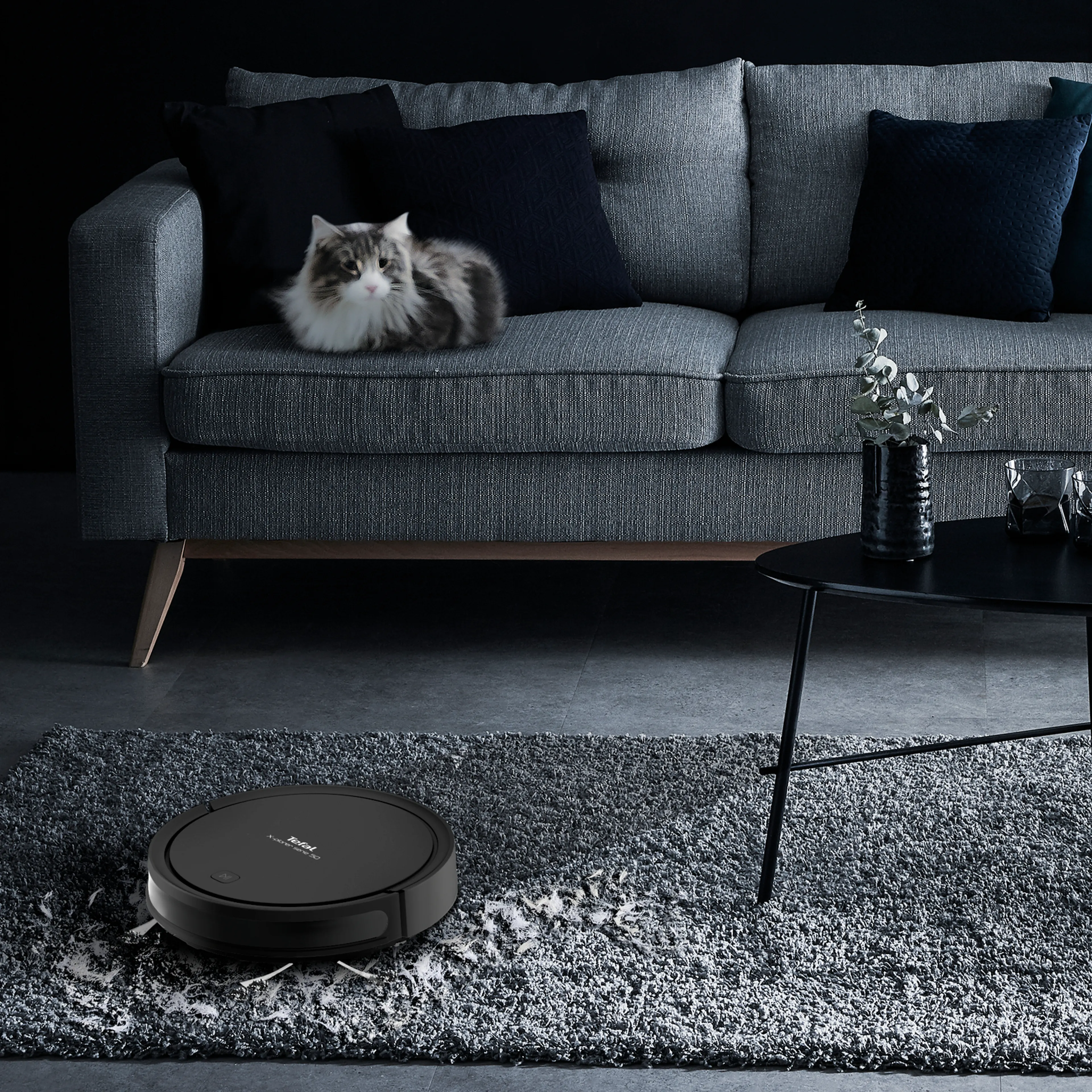 Робот-пылесос Tefal X-plorer Serie 50 RG7375WH