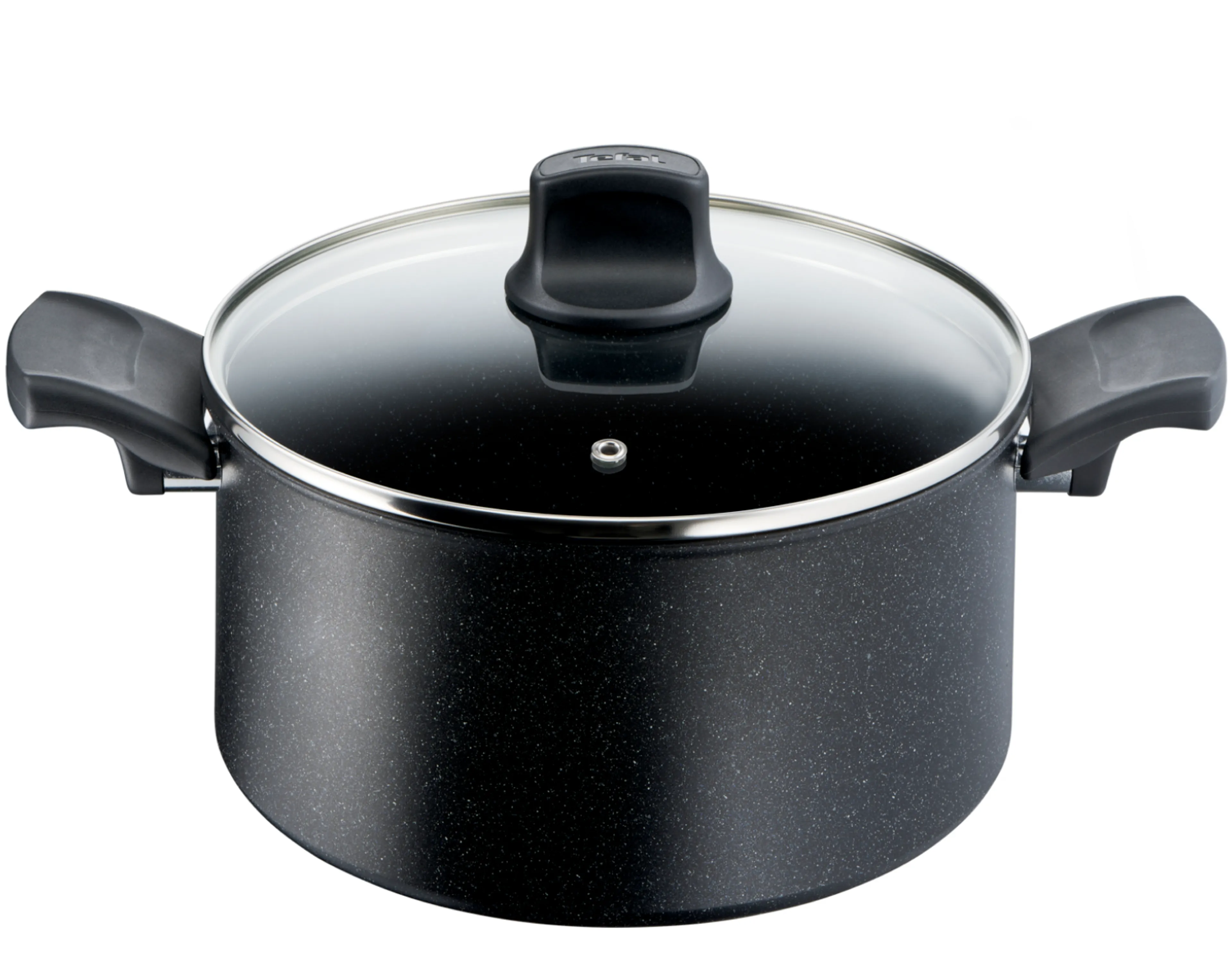 Кастрюля с крышкой Tefal Black Stone 5.2 л 24 см G2814602 фото