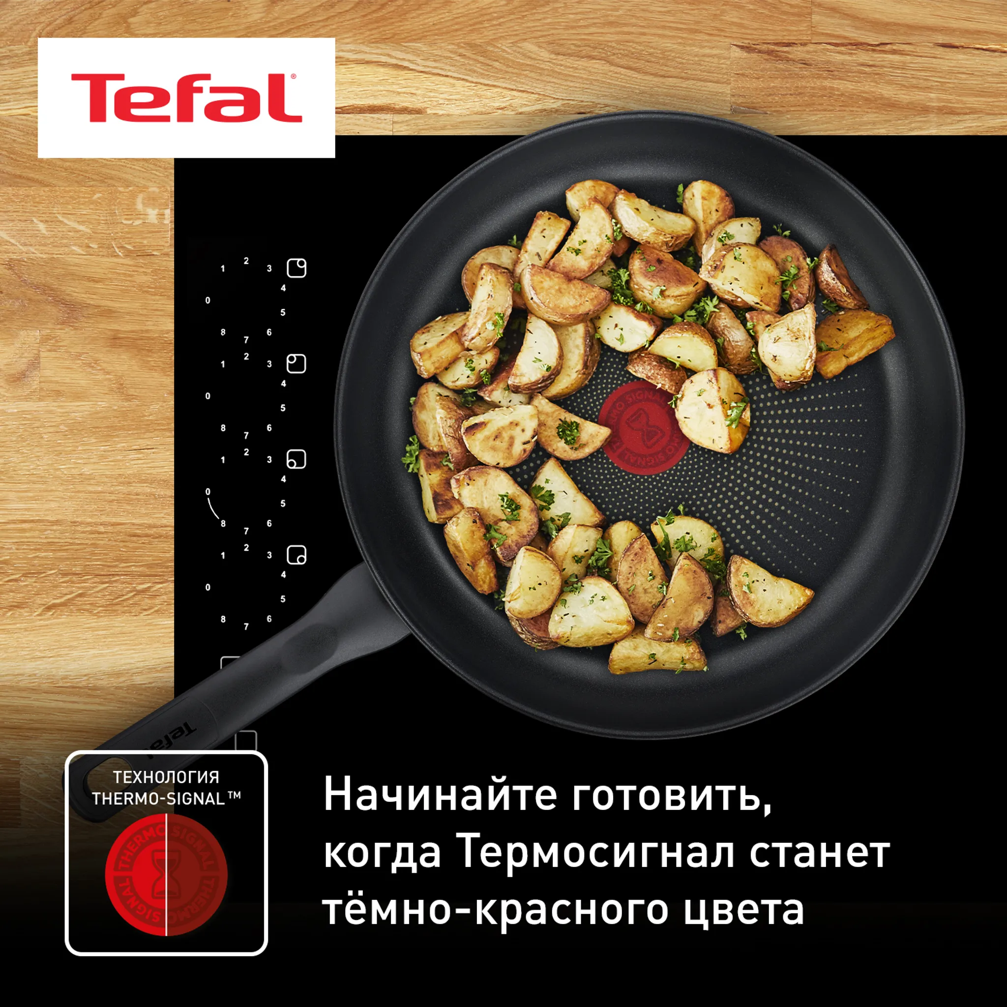 Сковорода Tefal Edition 26 cм G7380574
