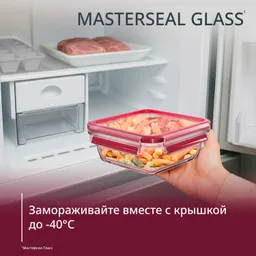Стеклянный контейнер 0.8 л Tefal Masterseal Glass N1041410