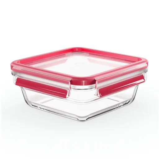 Стеклянный контейнер 0.8 л Tefal Masterseal Glass N1041410