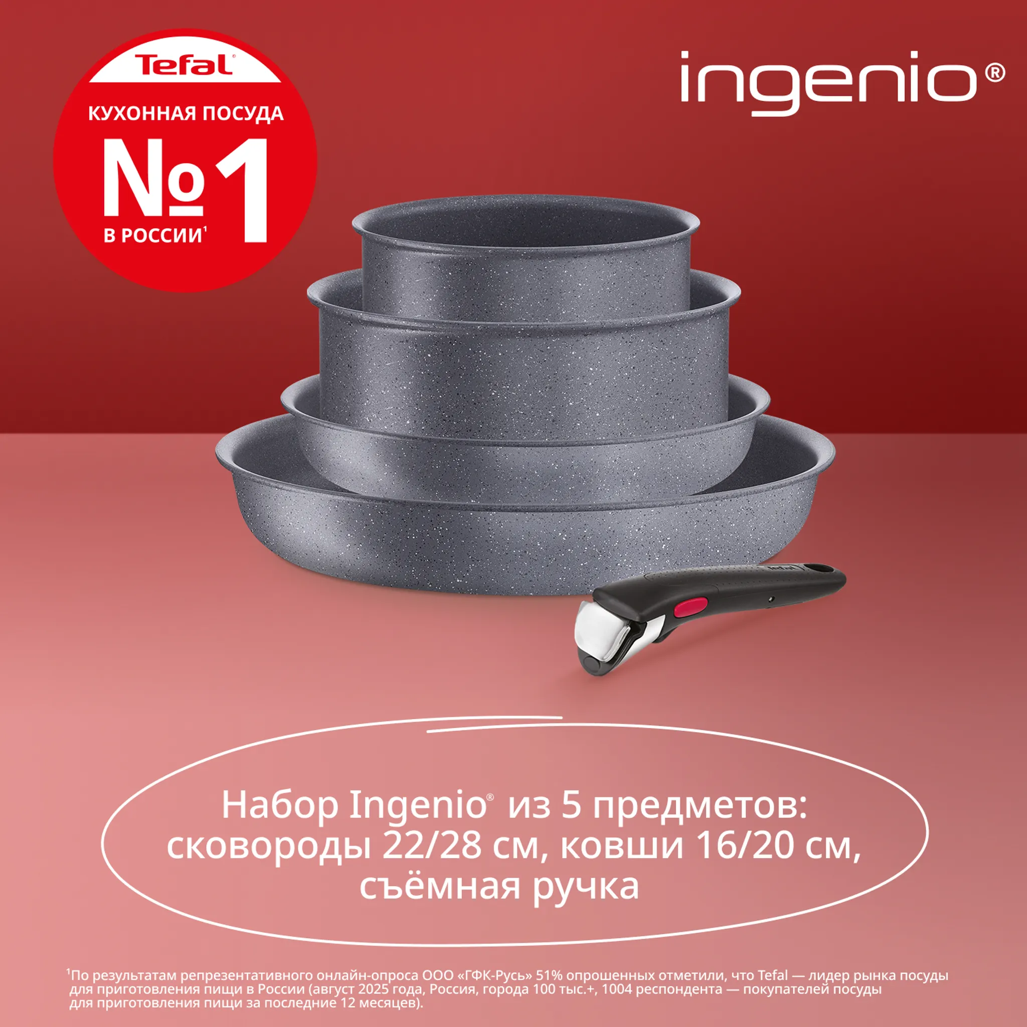Набор посуды со съемной ручкой Tefal Ingenio Natural Force 5 предметов 16/20/22/28 см L3969053