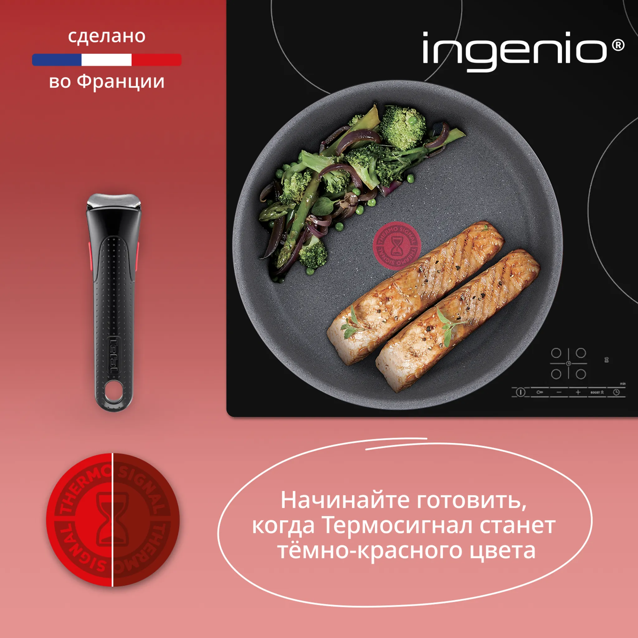 Набор посуды со съемной ручкой Tefal Ingenio Natural Force 5 предметов 16/20/22/28 см L3969053