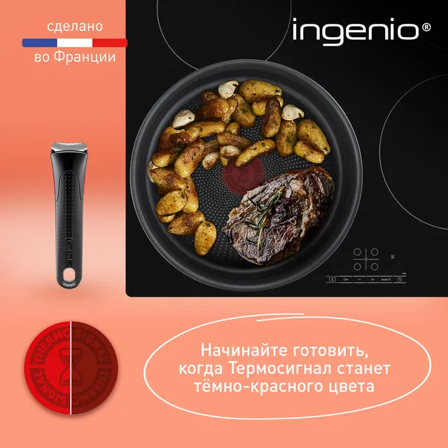 Набор посуды со съемной ручкой Tefal Ingenio Daily Chef Black 4 ...
