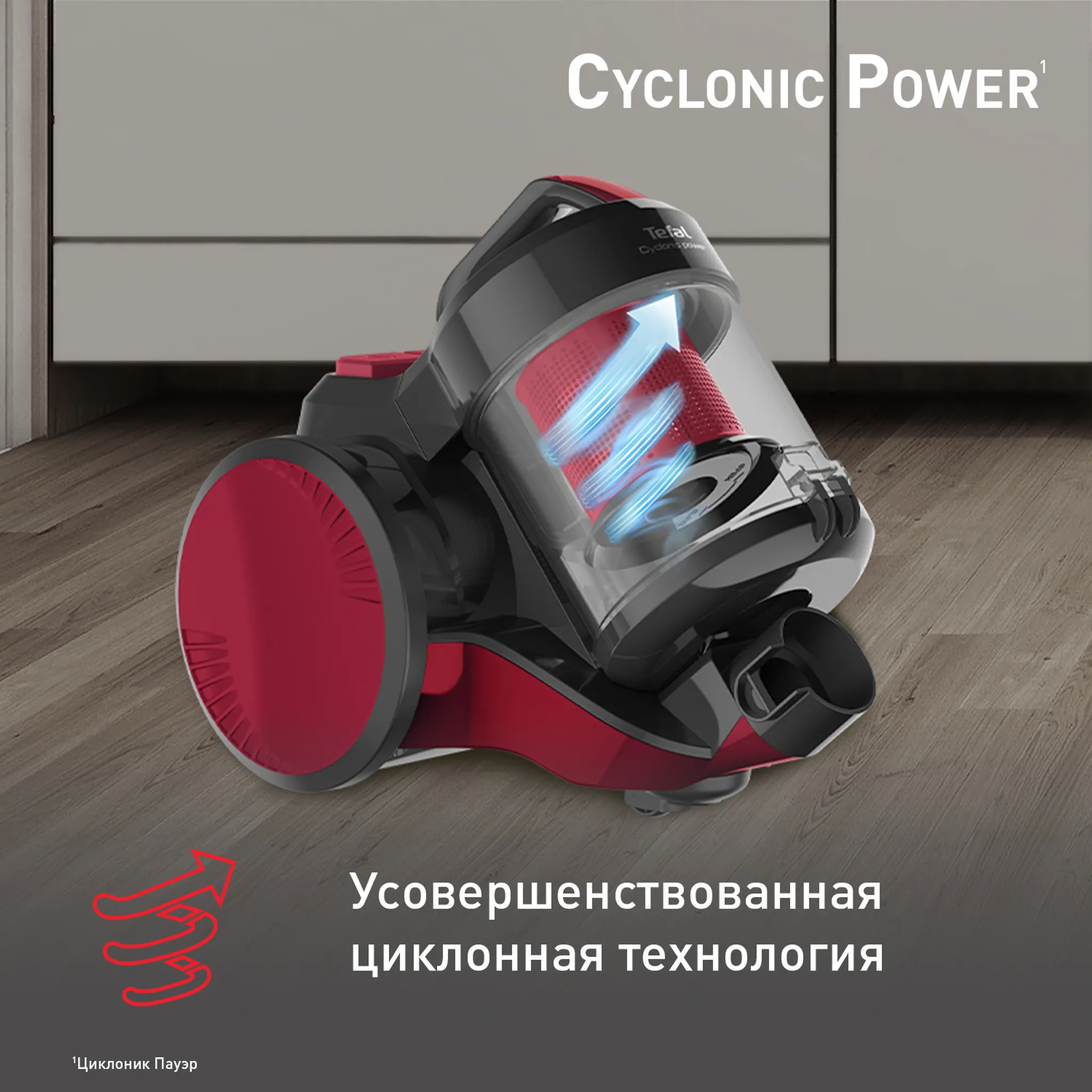 Пылесос с контейнером Tefal Cyclonic Power TW1923RH