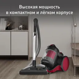 Пылесос с контейнером Tefal Cyclonic Power TW1923RH