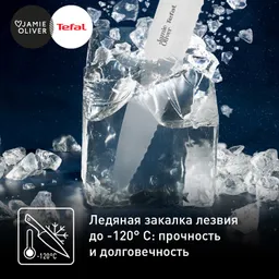 Набор ножей для стейка Tefal 4 предмета Jamie Oliver 12 cм K2670849