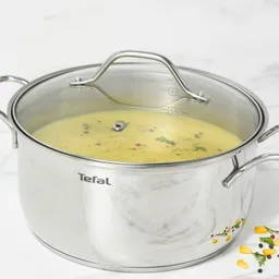 Кастрюля с крышкой Tefal Intuition 24 см. B8644674