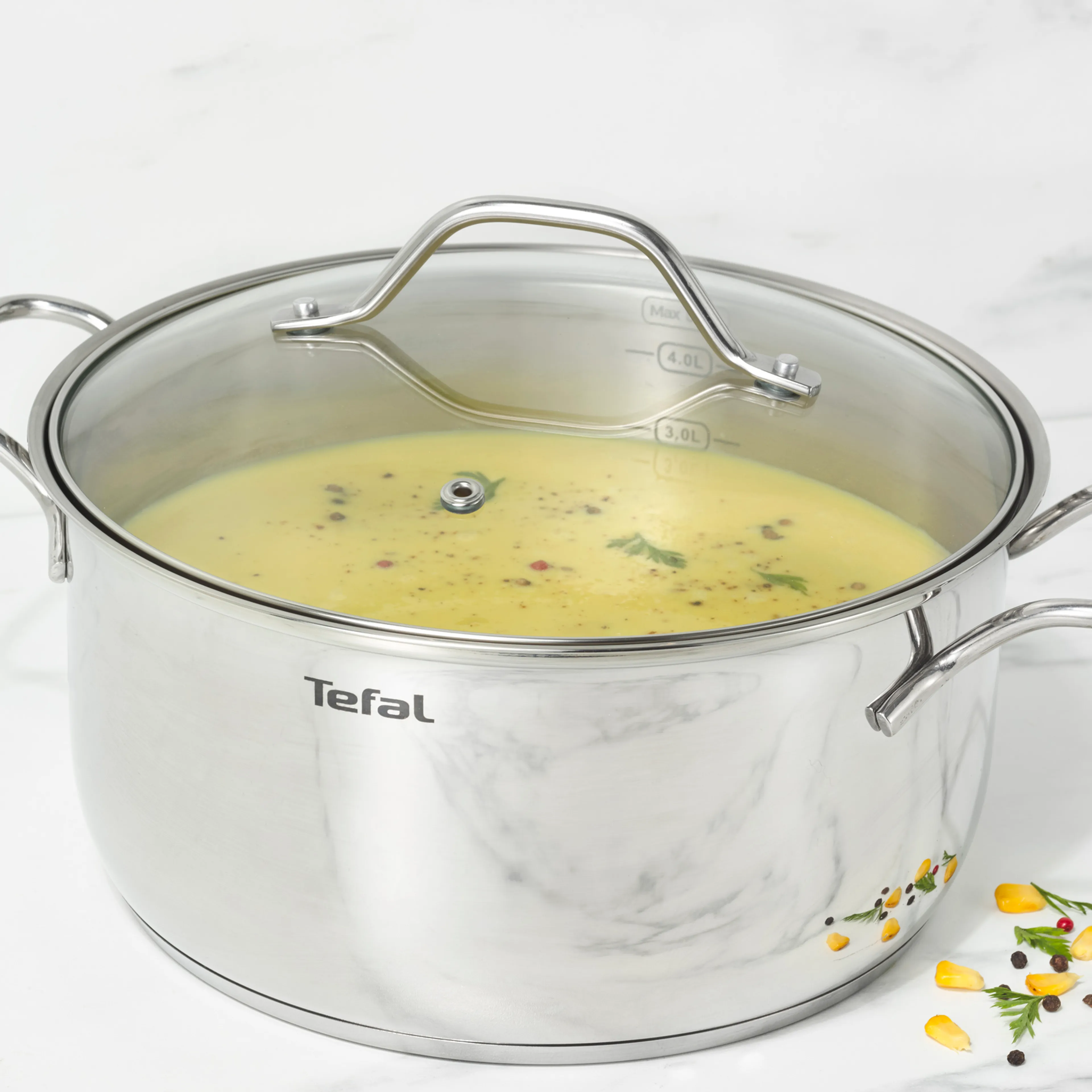 Кастрюля с крышкой Tefal Intuition 24 см. B8644674