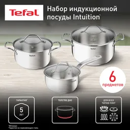 Набор посуды Tefal Intuition 6 предметов 1,3/2,9/5л 16/20/24см B864S674