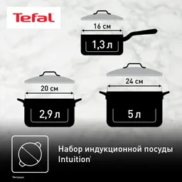Набор посуды Tefal Intuition 6 предметов 1,3/2,9/5л 16/20/24см B864S674
