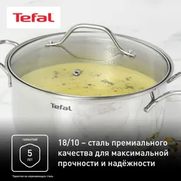 Набор посуды Tefal Intuition 6 предметов 1,3/2,9/5л 16/20/24см B864S674