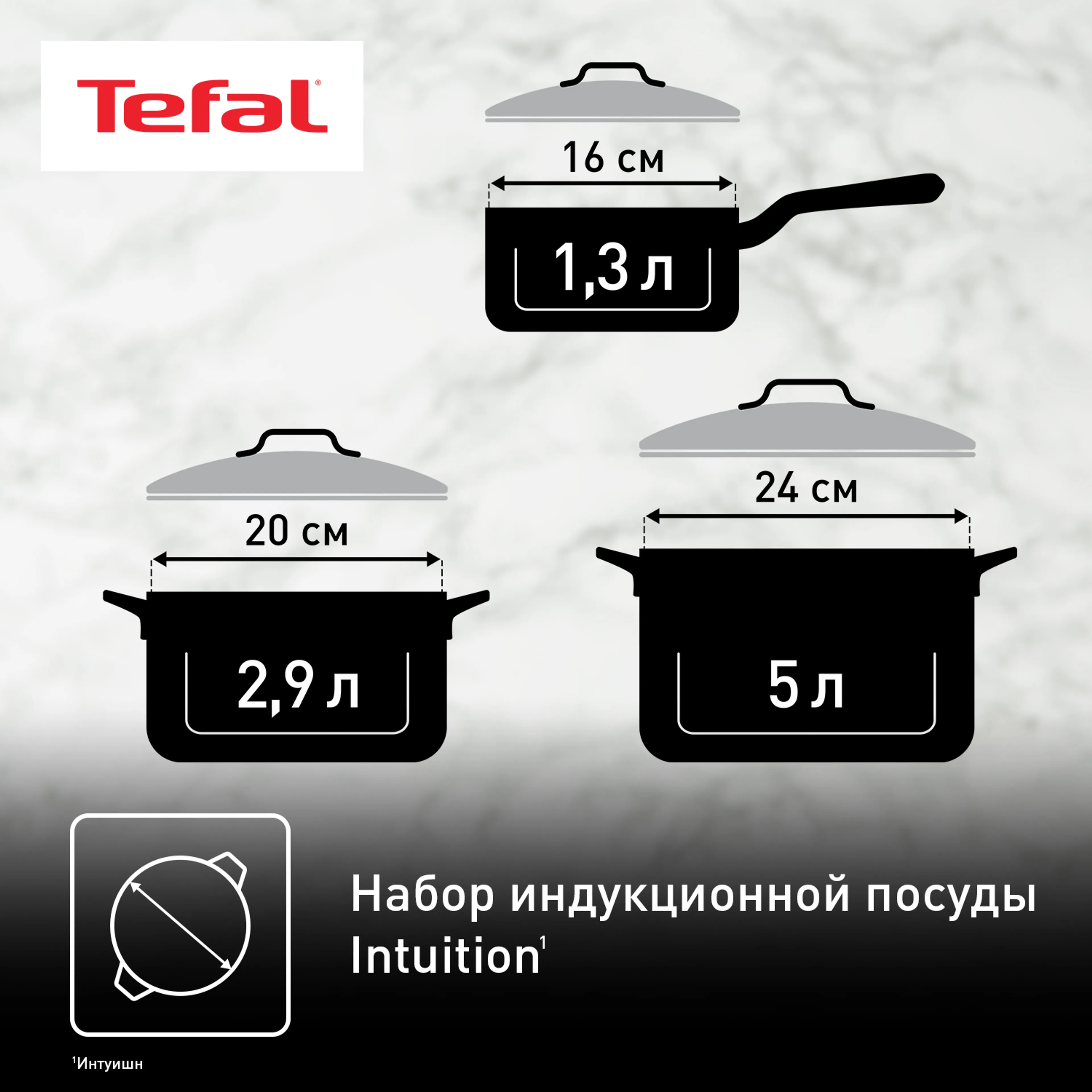 Набор посуды Tefal Intuition 6 предметов 1,3/2,9/5л 16/20/24см B864S674