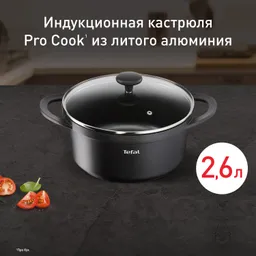 Кастрюля со стеклянной крышкой и силиконовыми ручками Tefal Pro Cook 20 см E2184475