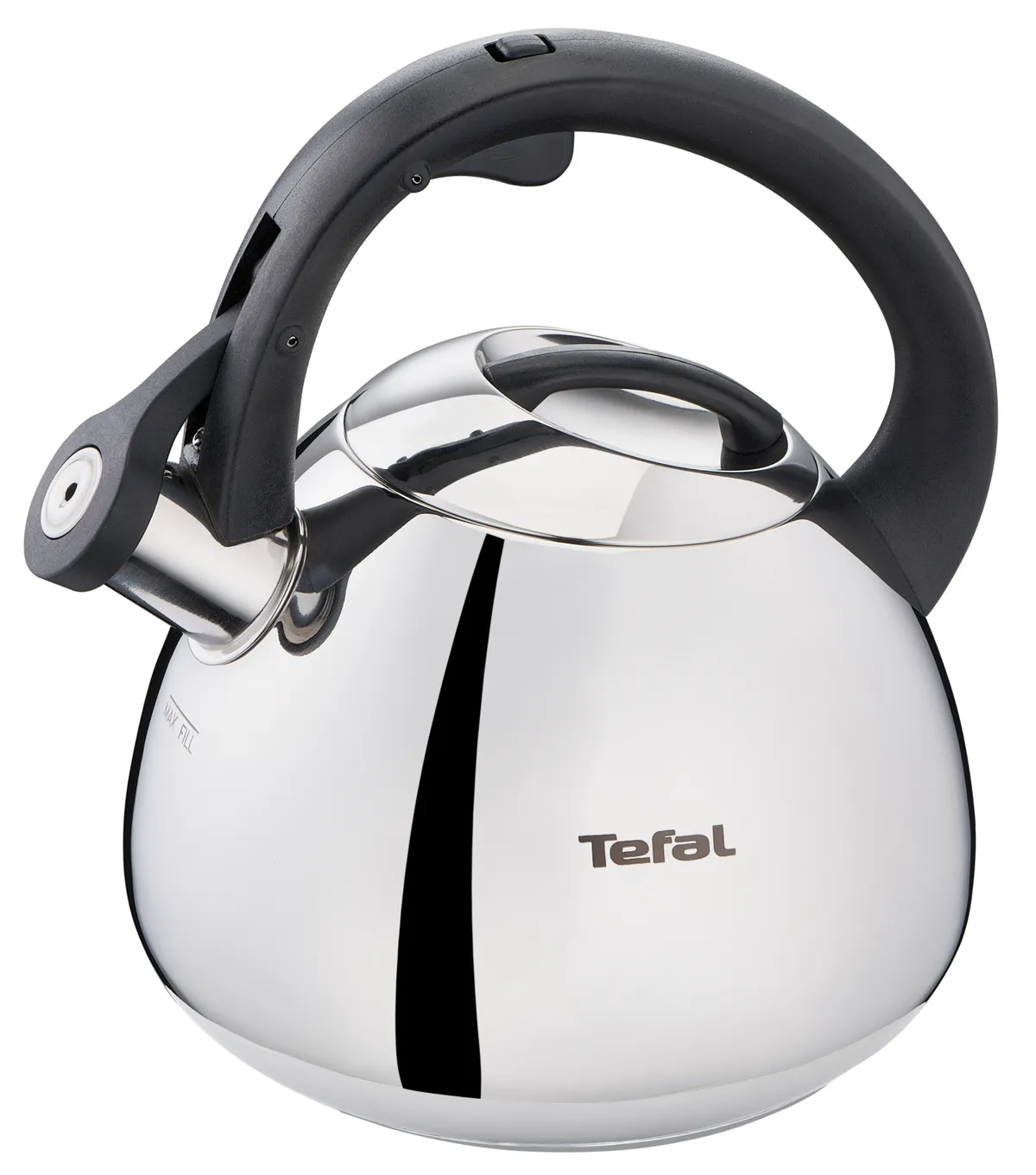 Чайник для плиты Tefal Duetto+ N4180110 фото